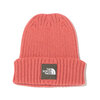 THE NORTH FACE CAPPUCHO LID FADED ROSE NN42035-FD画像