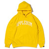 APPLEBUM Pirates Logo Sweat Parka YELLOW画像