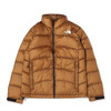 THE NORTH FACE ZI MAGNE ACONCAGUA JACKET UTILITY BROWN ND92130-UB画像