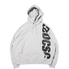 DC SHOES 21 MINI FLEECE VERTICAL PH GREY DPO214017-GRY画像