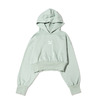 PUMA CLASSICS FASHION CROP HOODIE F GRAY 534290-79画像