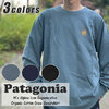 patagonia 21FW M's Alpine Icon Regenerative Organic Cotton Crew Sweatshirt 39613画像