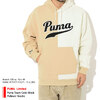 PUMA Puma Team Color Block Pullover Hoodie Limited 534310画像