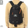 GREGORY Japan Limited Fine Day Daypack 1410171041画像