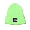 THE NORTH FACE CAPPUCHO LID SAFETYGREEN NN42035-ST画像