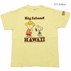 SUN SURF × PEANUTS S/S T-SHIRT "BIG ISLAND" SS78943画像