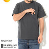 THE NORTH FACE Heavy Cotton S/S Tee NT32245画像