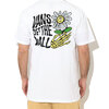 VANS Skull Daze S/S Tee VN0A7SMK画像