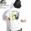 LURKING CLASS HIGH PLACES TEE -WHITE- ST22MT01画像