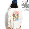 The Endless Summer TES Mt SHASTA LONG SLEEVE T-SHIRT -90 WHITE- FH-2774339画像