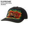 Supreme 23SS Lion of Judah 6-Panel画像