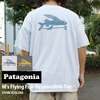 patagonia M's Flying Fish Responsibili Tee 37598画像