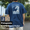 patagonia M's GPIW Organic Pocket Tee 37556画像