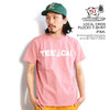 The Endless Summer TES LOCAL CREW FLOCKY T-SHIRT -PINK- FH-23574312画像