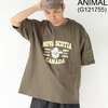 gym master 7.4oz ANIMAL COLLEGE ビッグTEE G121755画像