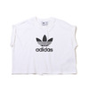 adidas SHORT TEE WHITE IC5467画像