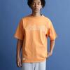 Schott SS T-SHIRT 'BASIC LOGO' 7823934012画像