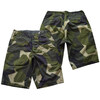 COLIMBO HUNTING GOODS C.G.Island Chion Shorts M90 Camo ZY-0206画像