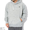 THE NORTH FACE Small Logo Heather Sweat Hoodie NT62342画像