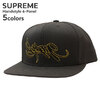 Supreme 23AW Handstyle 6-Panel画像