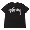 STUSSY DIZZY STOCK TEE画像