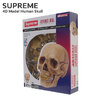 Supreme 23FW 4D Model Human Skull画像