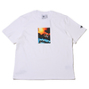 adidas ADI PIC TEE WHITE IS2903画像