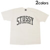 STUSSY INTERNATIONAL PIG DYED TEE画像