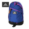 GREGORY 26L DAY PACK BLUE/PURPLE 651691115画像