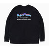 patagonia Home Water Trout Responsibili L/S Tee 37574画像