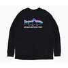 patagonia Home Water Trout Responsibili L/S Tee 37574画像