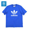 adidas Trefoil S/S Tee Originals BLUEBIRD IR8010画像