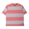 Levi's SKATE SS GRAPHIC BOX TEE A1005-0019画像