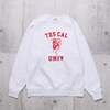 The Endless Summer TES COLLEGE EMB BIG SWEAT C-24774301画像