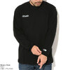 THE NORTH FACE Fine Alpine L/S Tee NT82537画像