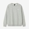 THE NORTH FACE Small Logo Heather Crew Sweat NT62532画像