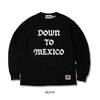 ANIMALIA 8.1oz US Cotton L/S -DOWN TO MEXICO AN25A-CS01画像
