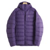 ARC'TERYX Thorium Hoody M X000010543画像