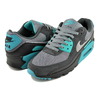 NIKE AIR MAX 90 cool grey/wolf grey DM0029-013画像