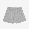 icebreaker M Merino 150 Relaxed Boxers IB0A572B画像