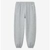 THE NORTH FACE Small Logo Heather Sweat Pant NB32636画像