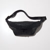 RADIALL KAWASAKI - WAIST BAG RAD-SPEY014画像