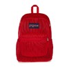 JANSPORT ECO MESH PACK JS0A4QW3画像