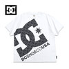 DC SHOES Big Star S/S Tee DST261039画像
