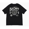 BEN DAVIS Classic Logo S/S Tee C-26580001画像