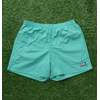 The Endless Summer TES HUNTINGTON NYLON SHORTS SD-25574002画像