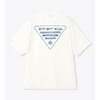 Columbia Despair Bay Graphic SS Tee PG8784画像