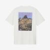 THE NORTH FACE Mountain Flower S/S Tee NT32650画像