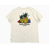 Levi's Coastal Creative Fresh Relaxed Fit S/S Tee 16143-2480画像