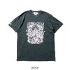 SALT&MUGS Metals SMSST066画像